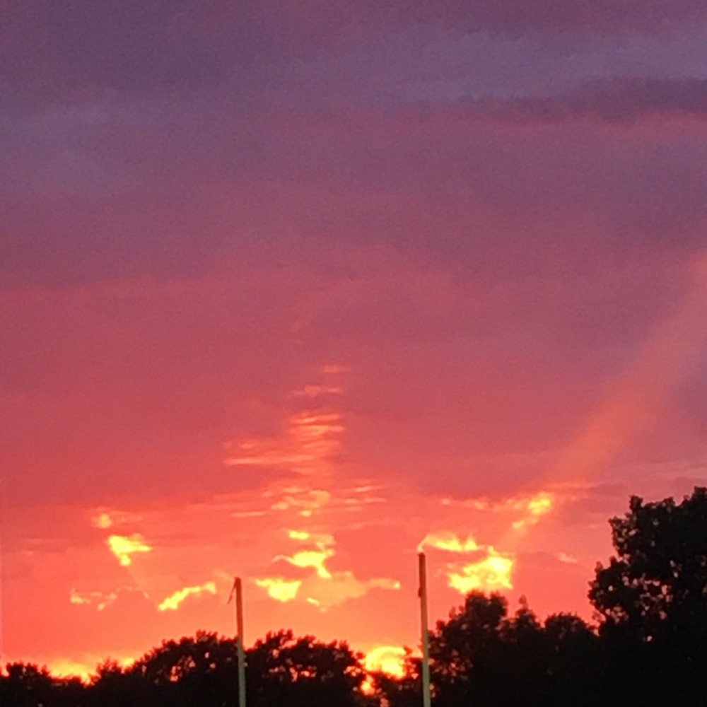 Meet your Posher, Donna